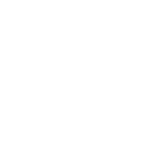 Ícone 1